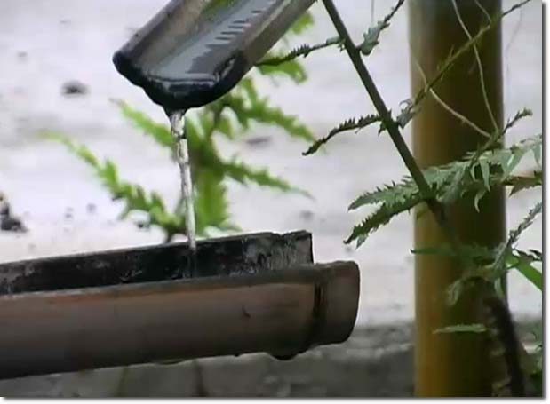 Bamboo Drip Irrigation