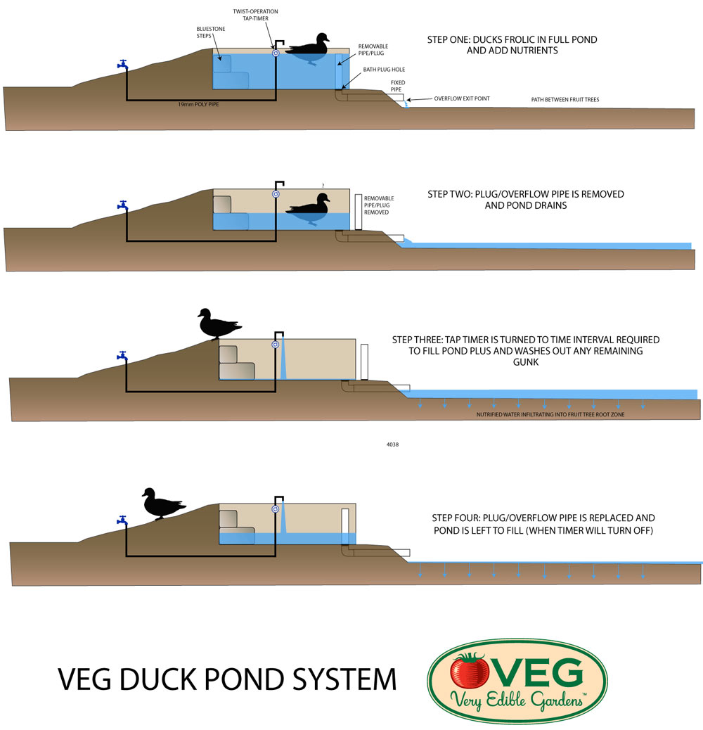 VEG Design Solutions, Part Three: How to Drain a Duck Pond Without