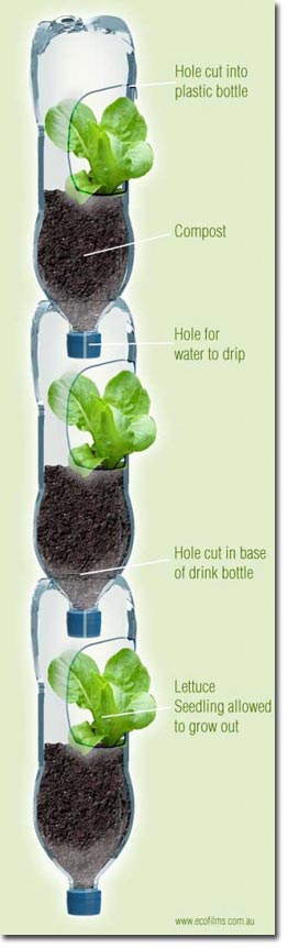 Hanging Bottle Garden, How To Make A Wall Garden With Plastic Bottles