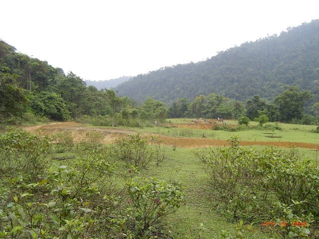 Project site swales and dams
