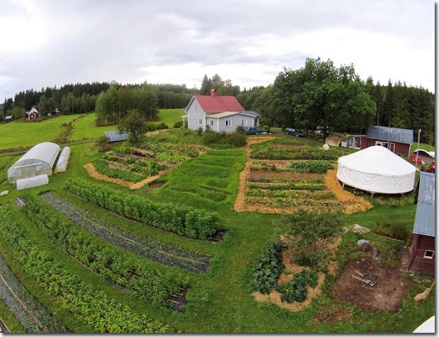 Setting Up A Permaculture Farm The, Small Farm Design