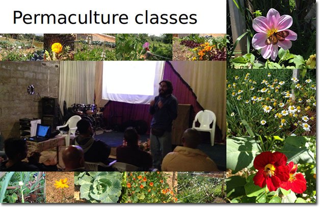 Therapeutic-Permaculture-2