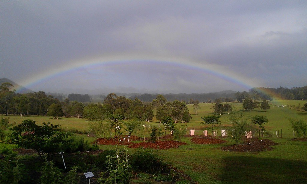 rainbow honeycomb valley farm nabiac