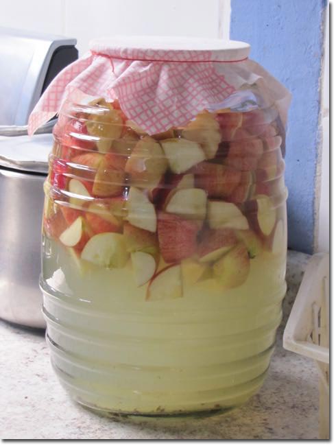 Hard-Apple-Cider