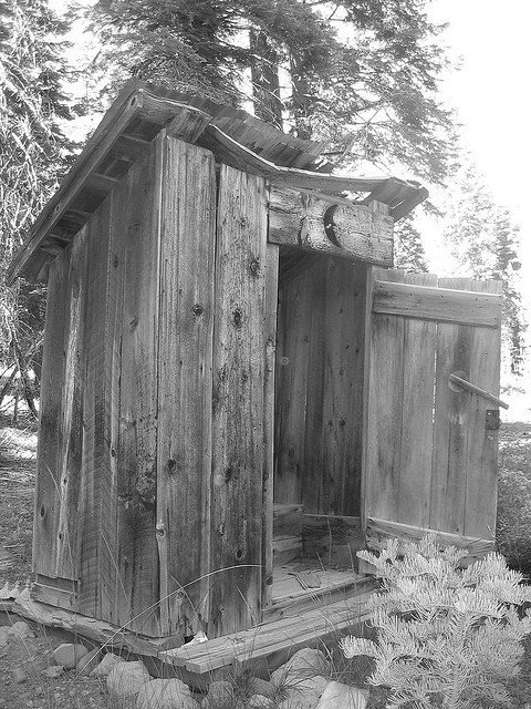 Outhouse/Privy (Courtesy of Shawn Ford)