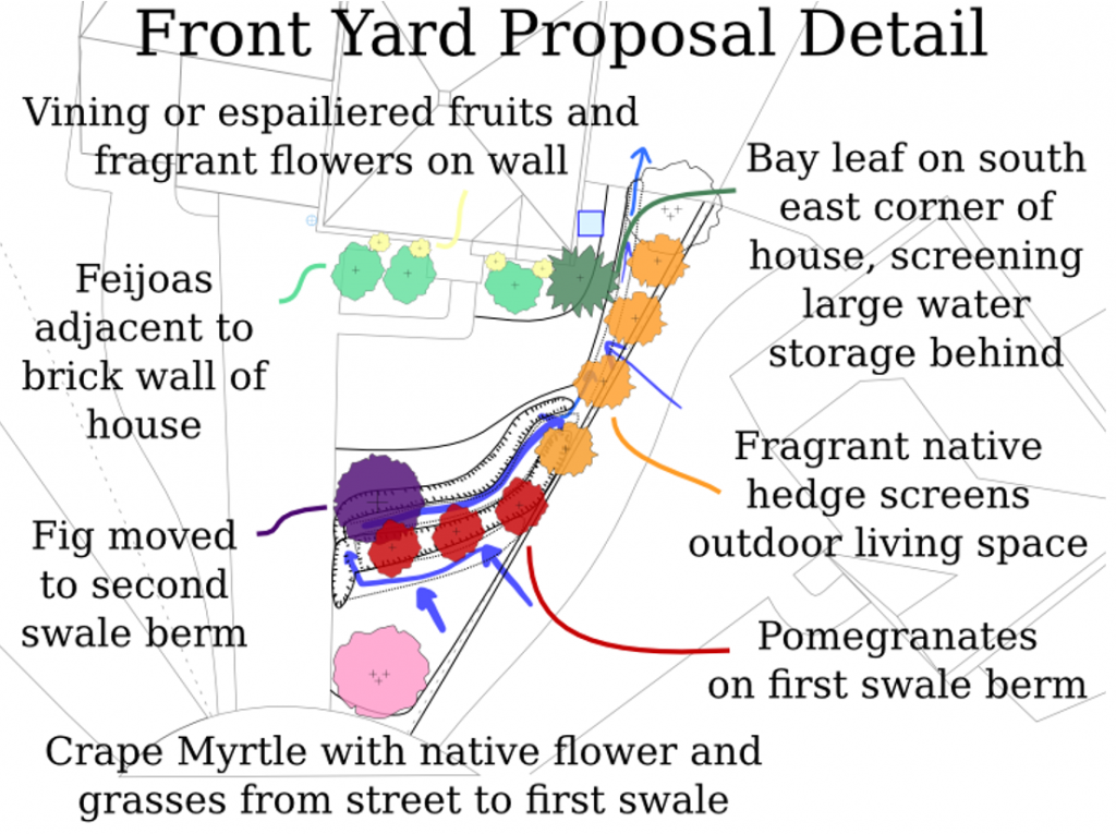 Figure 5-2 Front Yard Proposal Detail with planned new species, earthworks, and outdoor living