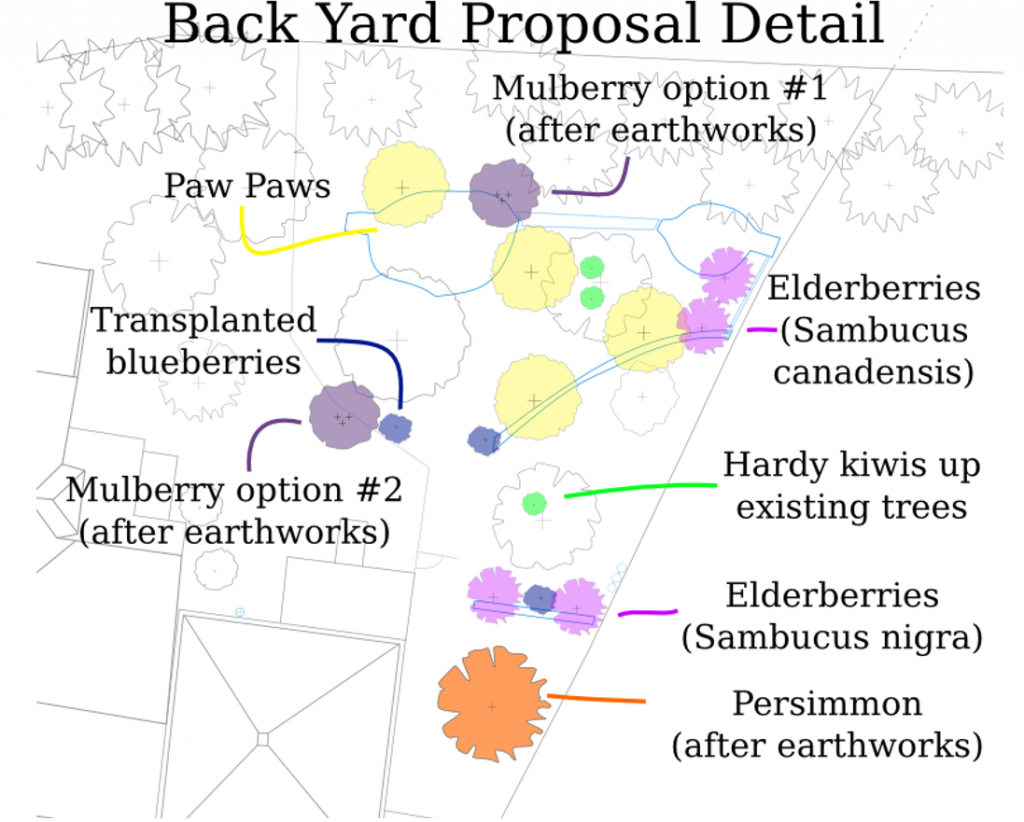 Figure 5-3 Backyard Proposal Detail with planned new species