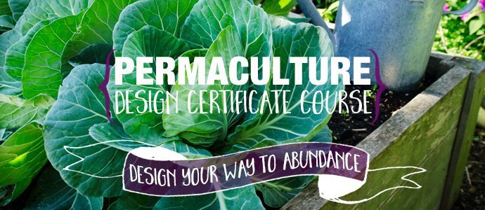 Permaculture-Design-Certificate-Course-PRI-Sunshinecoast