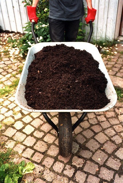 Fresh-Smelling Compost (Courtesy of SuSanA Secretariat)