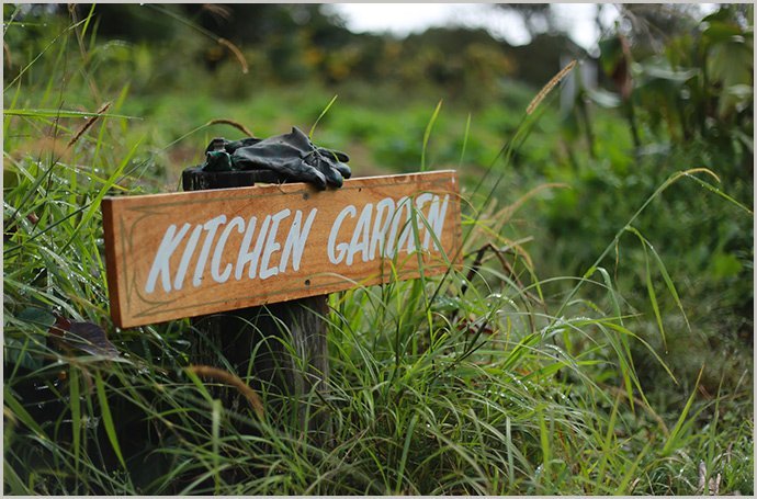 Kitchen-Garden-Zaytuna-Farm