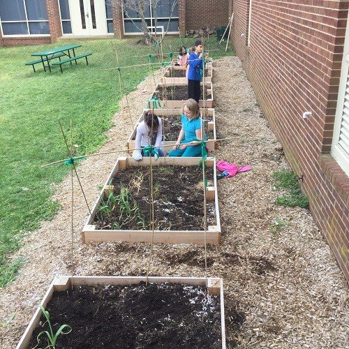 Students planting cool weather crops and building trellises