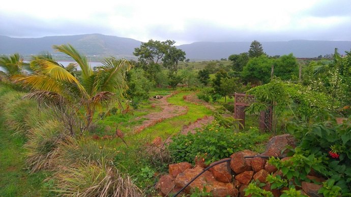 The emerging food forest