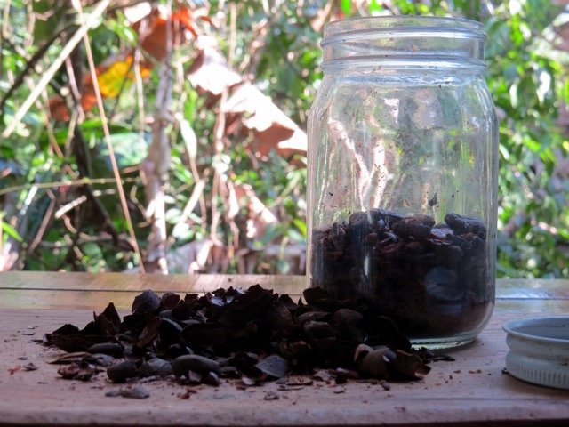 Reusable Glass Jars with Fresh Cacao Nibs