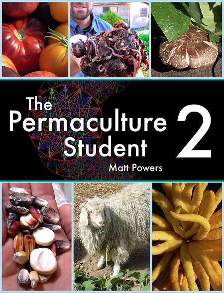 What if Permaculture was Taught in Schools Everywhere 02