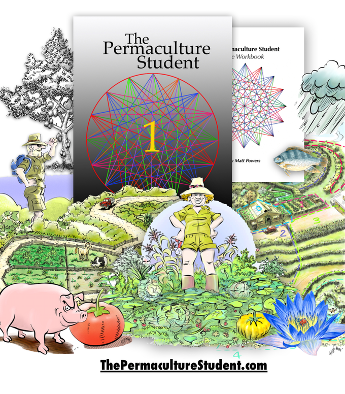 permaculture student 2 13