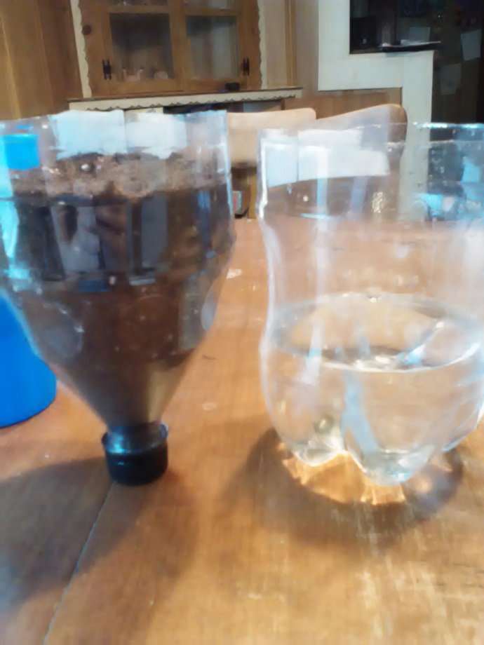 Then I filled the top portion of the bottle with potting soil and planted my seedling. I left the cap in place for this step to prevent the soil from pouring back out.  I also filled the bottom half of the bottle ¼ of the way with water. 