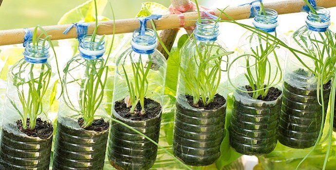 How to Reuse Plastic Bottles for Gardening 