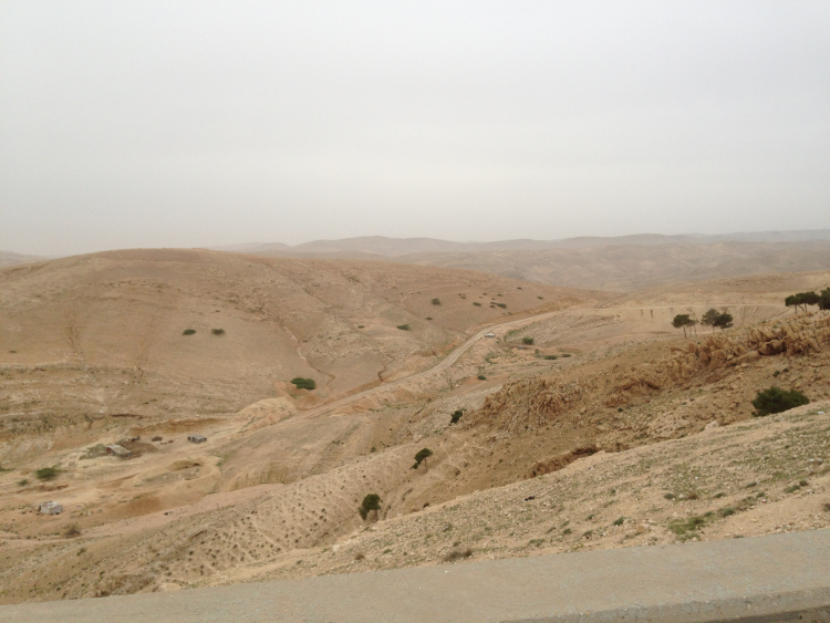 Overgrazed land between Amman and Jawfa. 