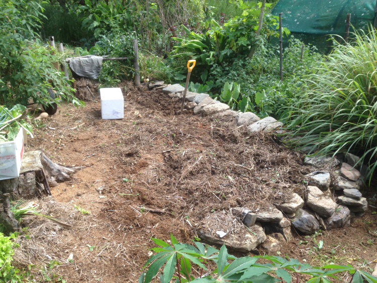 Starting to prepare the beds for the garlic. 