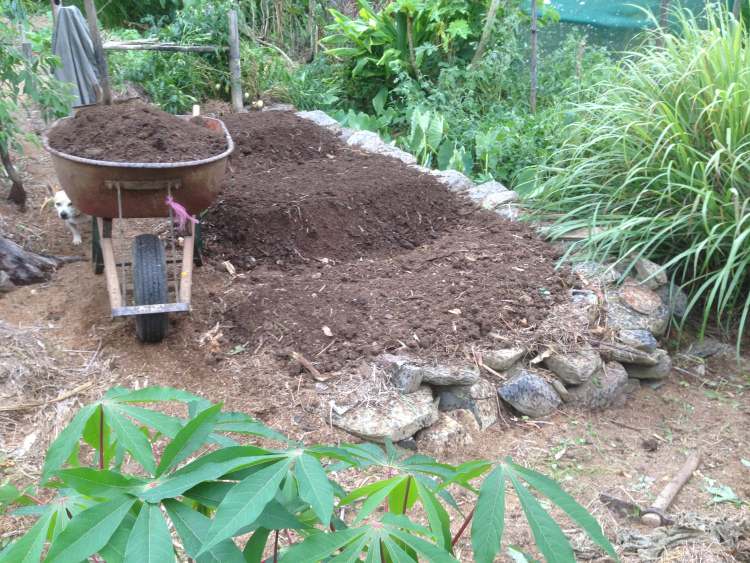 Adding the last of the five wheelbarrows of compost. 