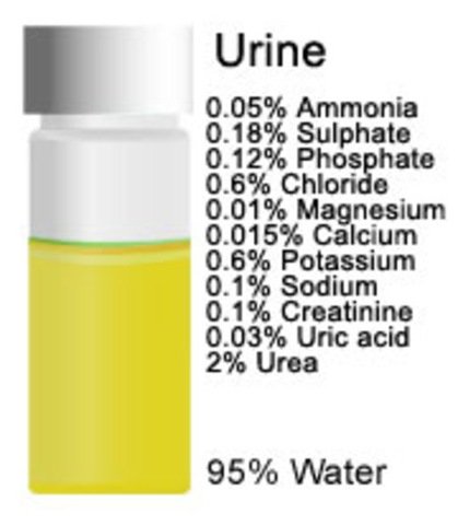 urine