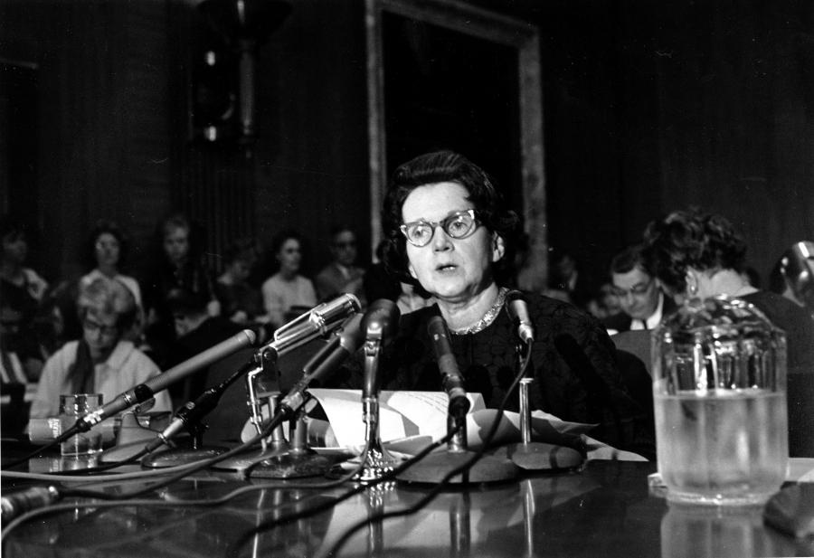 Rachel Carson testifying before the Senate Government Operations subcommittee studying pesticide spraying (June 4, 1963). 