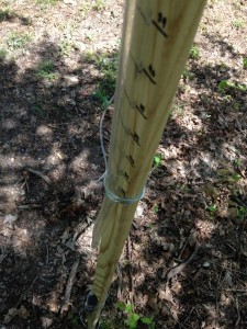 You can use wire or tape to attach the tubing to the measuring stick.