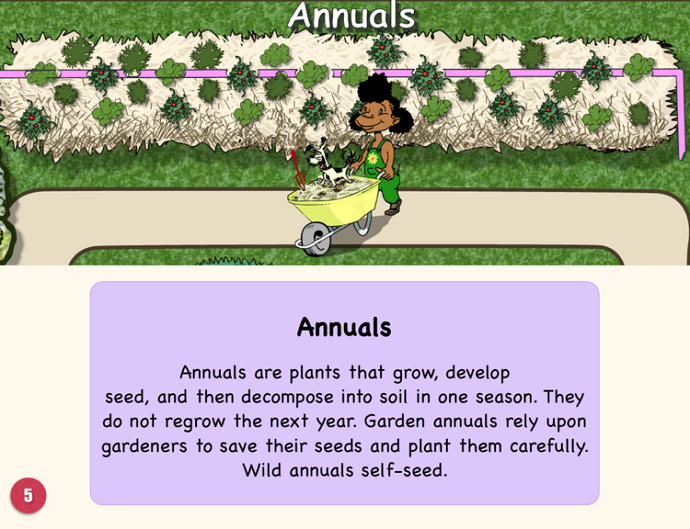 Permaculture for School Gardens 03
