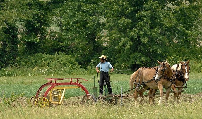 Image Attribution: Amish Farmer Raking Hay: Joe Schneid BY CC 3.0
