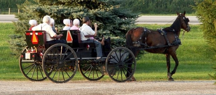 Image Attribution: Amish Family: Kiwi Dea Pi BY CC 3.0