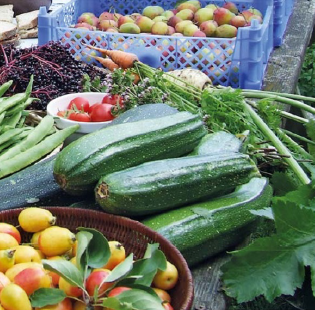 Despite being only one fifth of an acre (0.08 hectares), the forest garden produces over a tonne of food annually.