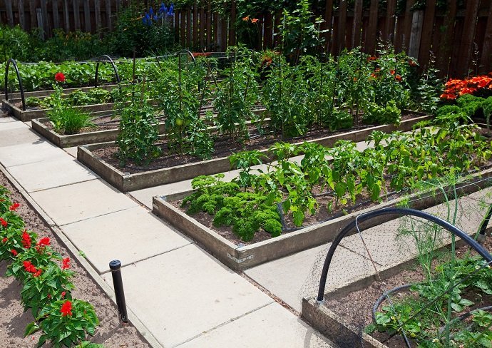 Raised Vegetable Garden Beds