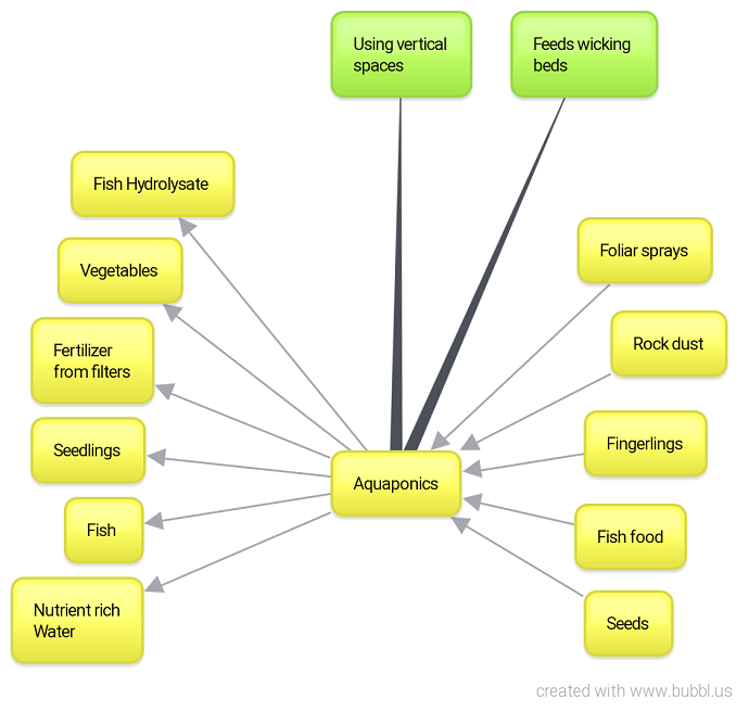 Implementing Aquaponics in Permaculture 01