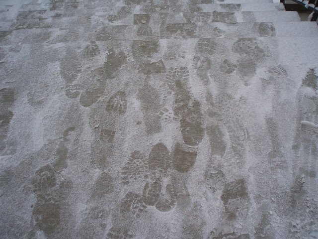 Footprints (Courtesy of Laura Blankenship)