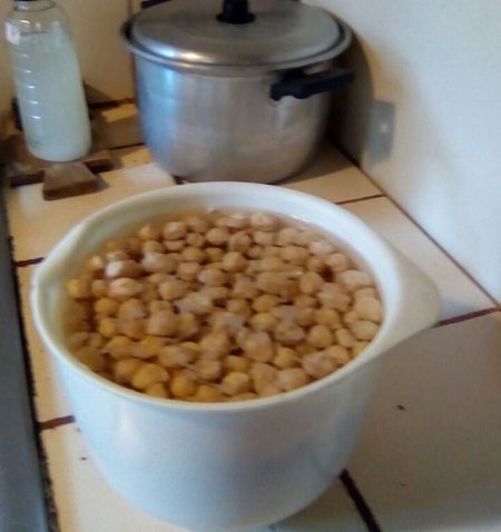 Soaking chickpeas for lunch, saving the water for the garden. Photo Credit: Jonathon Engels