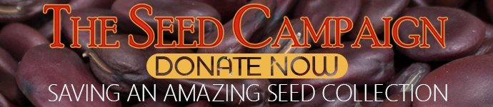 community-fundraisingthe-seed-campaign