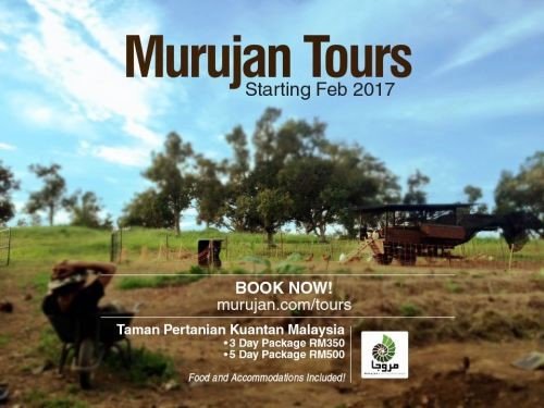 Introducing Murujan Tours in Malaysia 14
