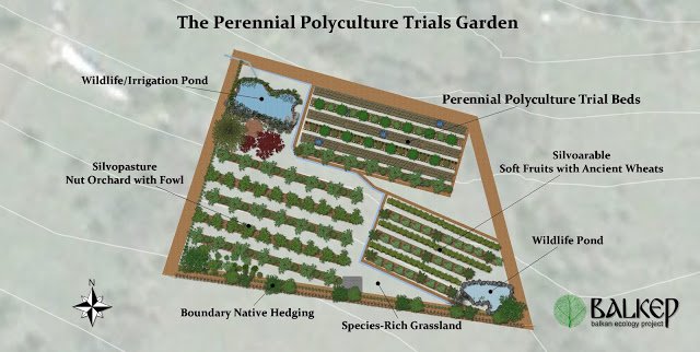 Perennial Polycuture Trial Garden