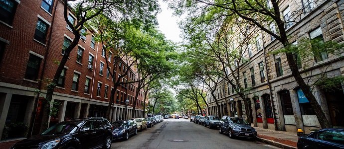 Tree lined street in the North End, Boston, Massachusetts.