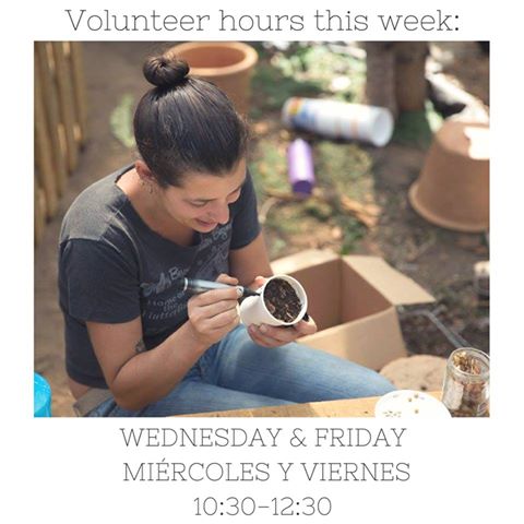 Volunteer Hours, Courtesy of Claire Henkel