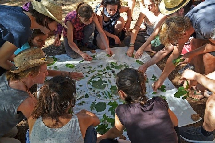 School of earth permaschool - Permaculture Magazine Prize 2019 Runner Up