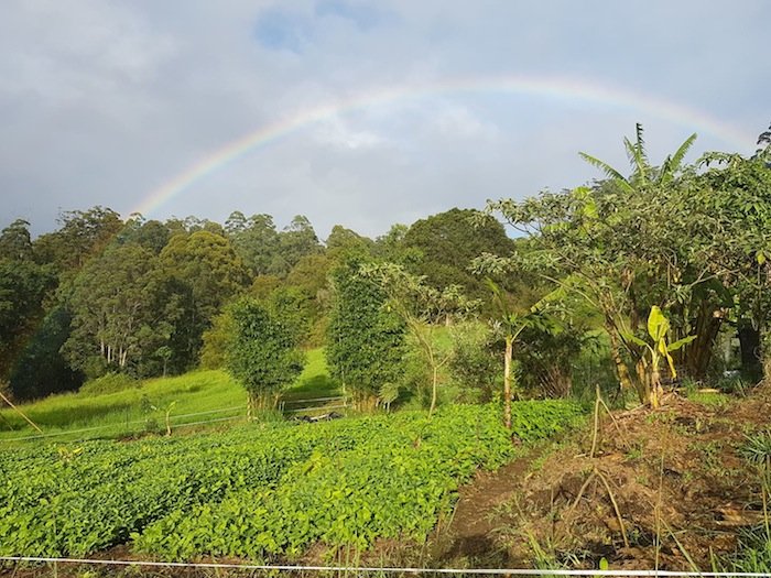 Rainbow over Sams Farm