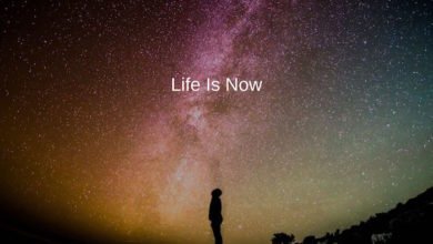 Life is Now
