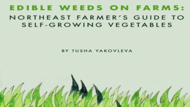 Edible Weeds on Farms