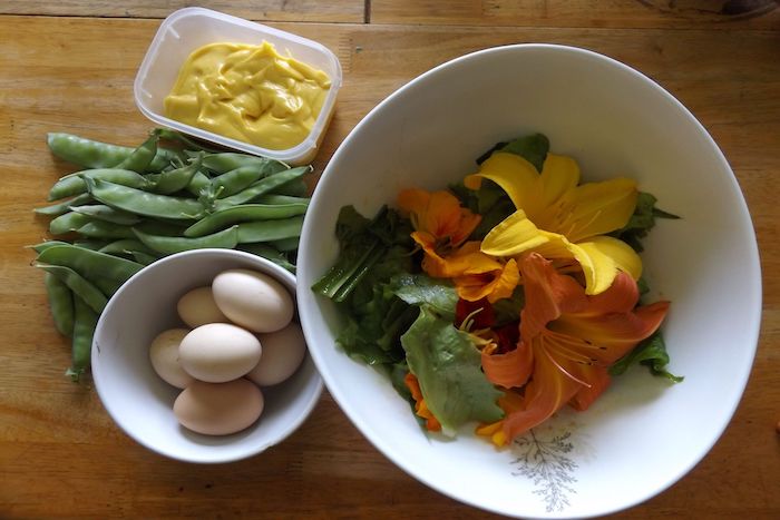 Eggs and Salad