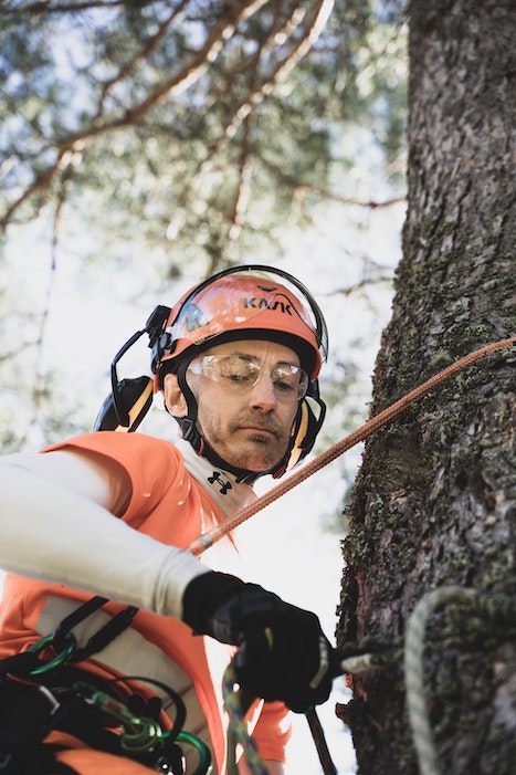 A Quick Guide To Tree Climbing Gear For Arborists - The
