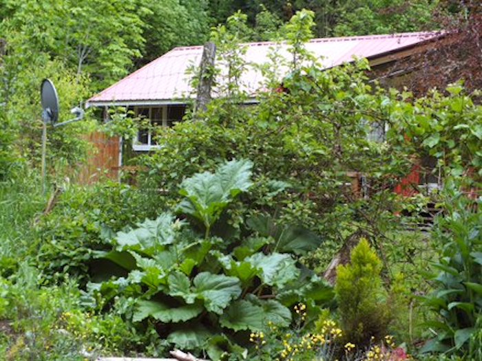 House and Garden